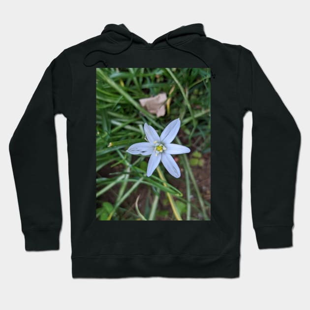 Star of Bethlehem 1 Hoodie by AustaArt